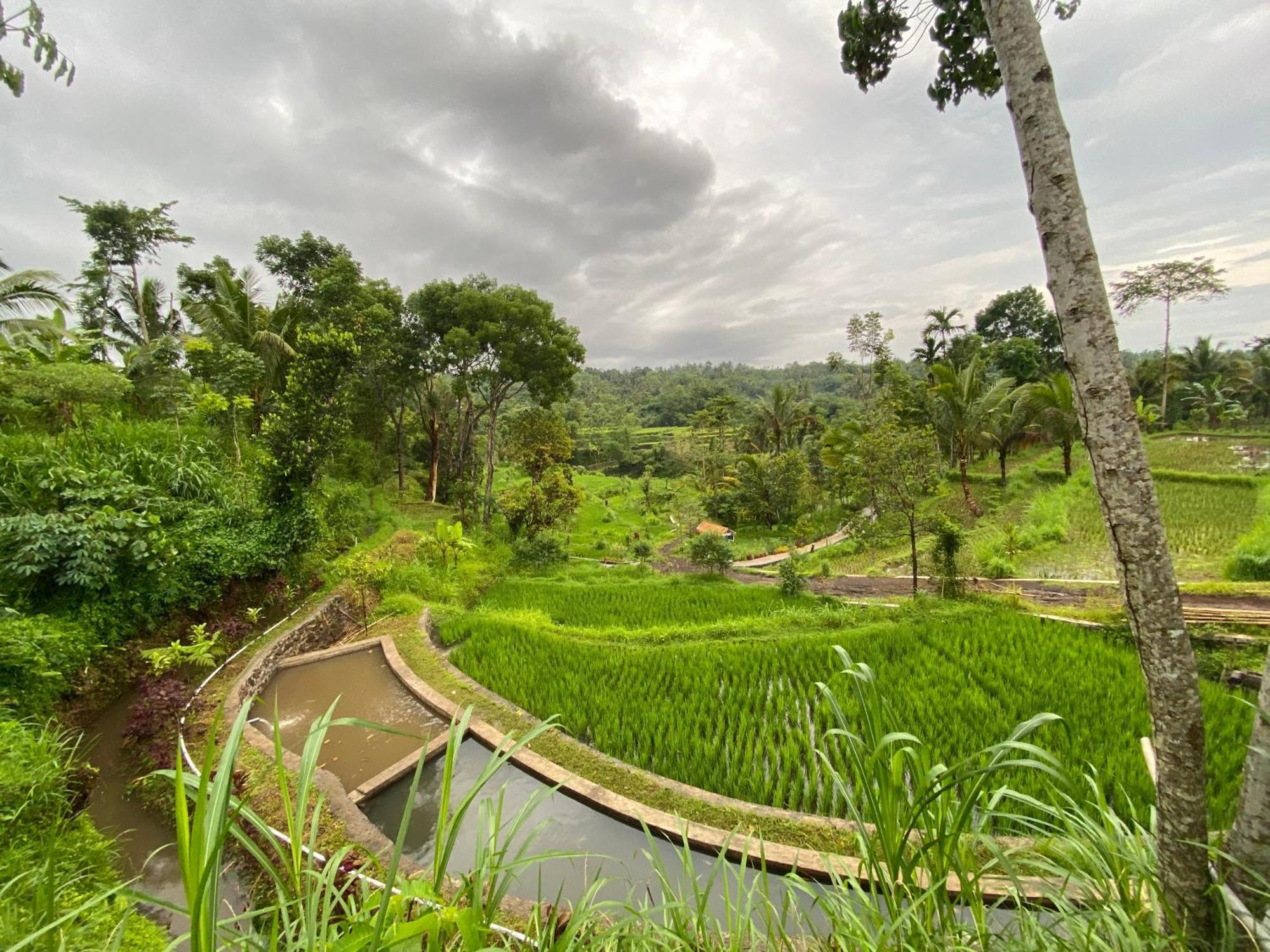 The Alam Tetebatu Bungalow & Restaurant Exterior photo