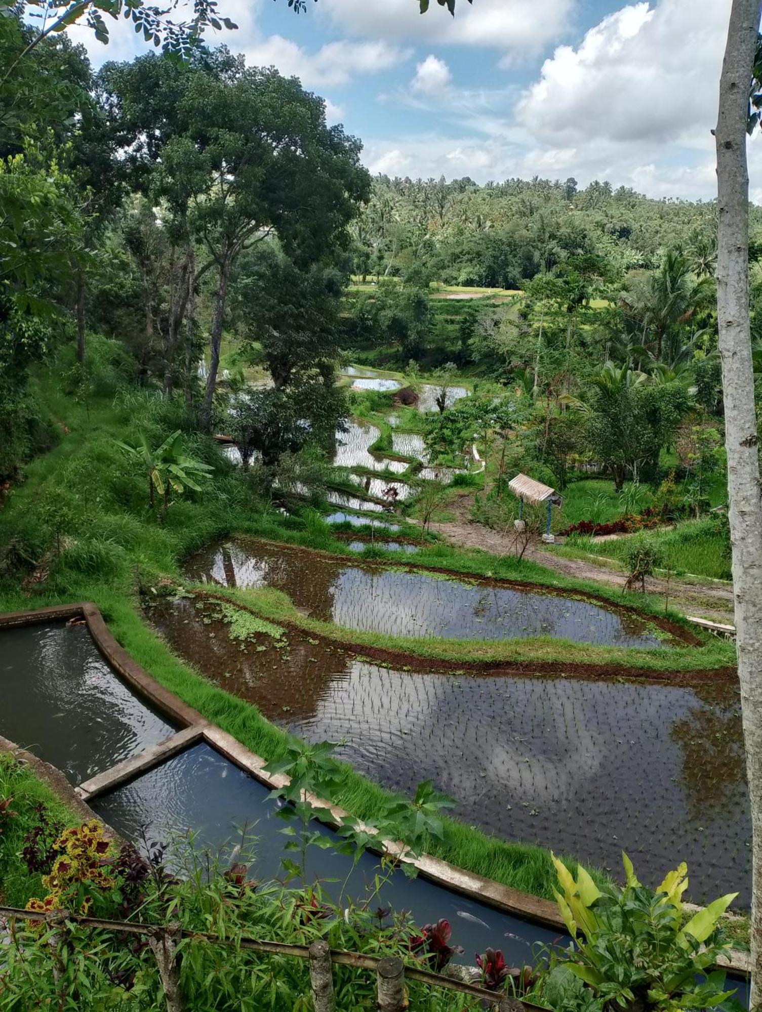 The Alam Tetebatu Bungalow & Restaurant Exterior photo