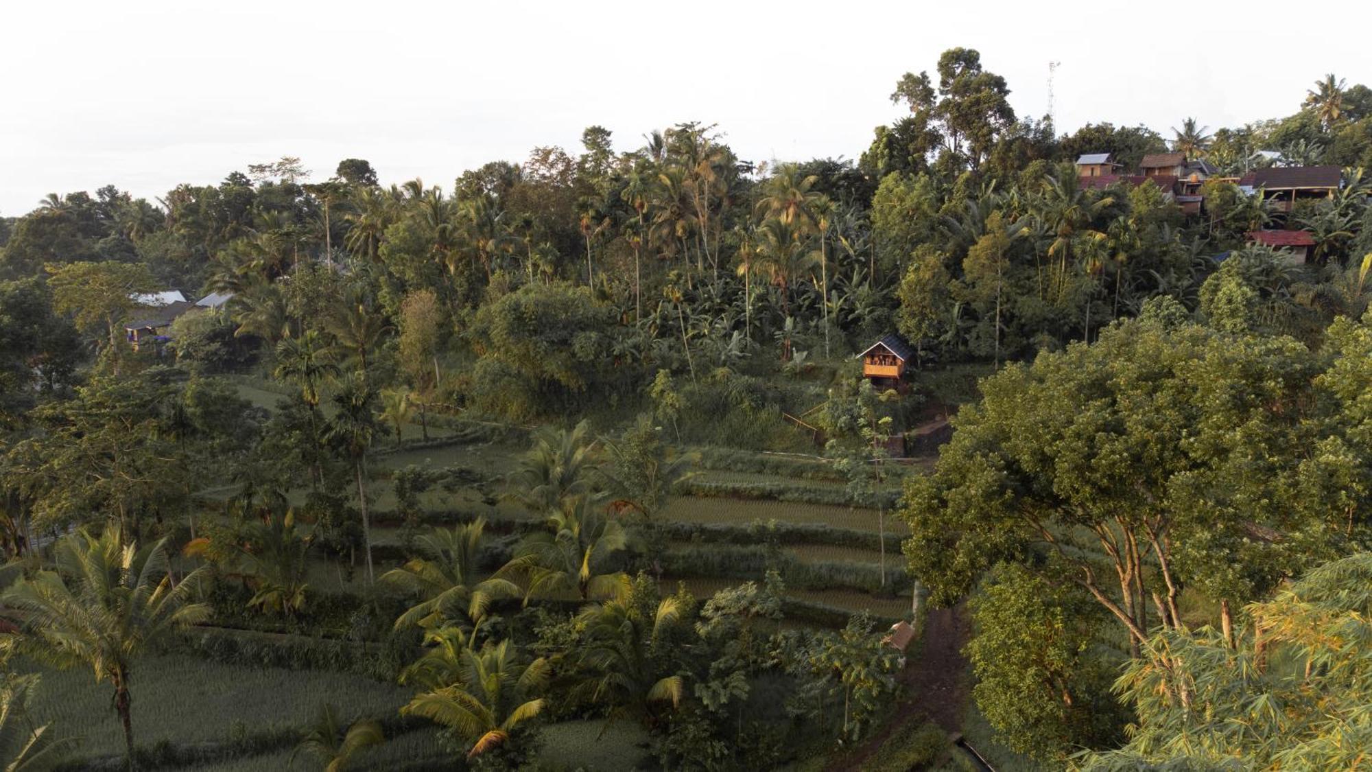The Alam Tetebatu Bungalow & Restaurant Exterior photo