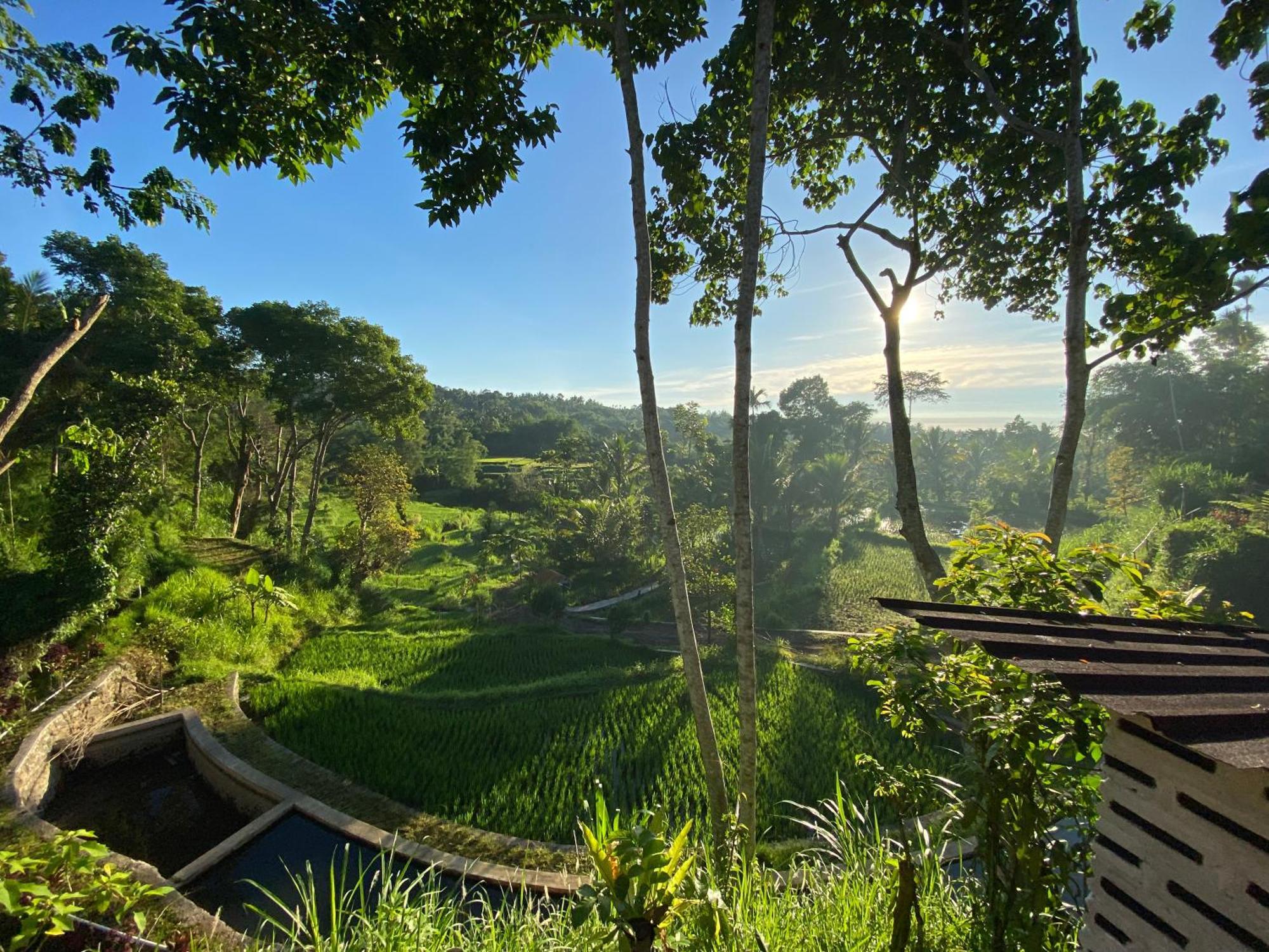 The Alam Tetebatu Bungalow & Restaurant Exterior photo