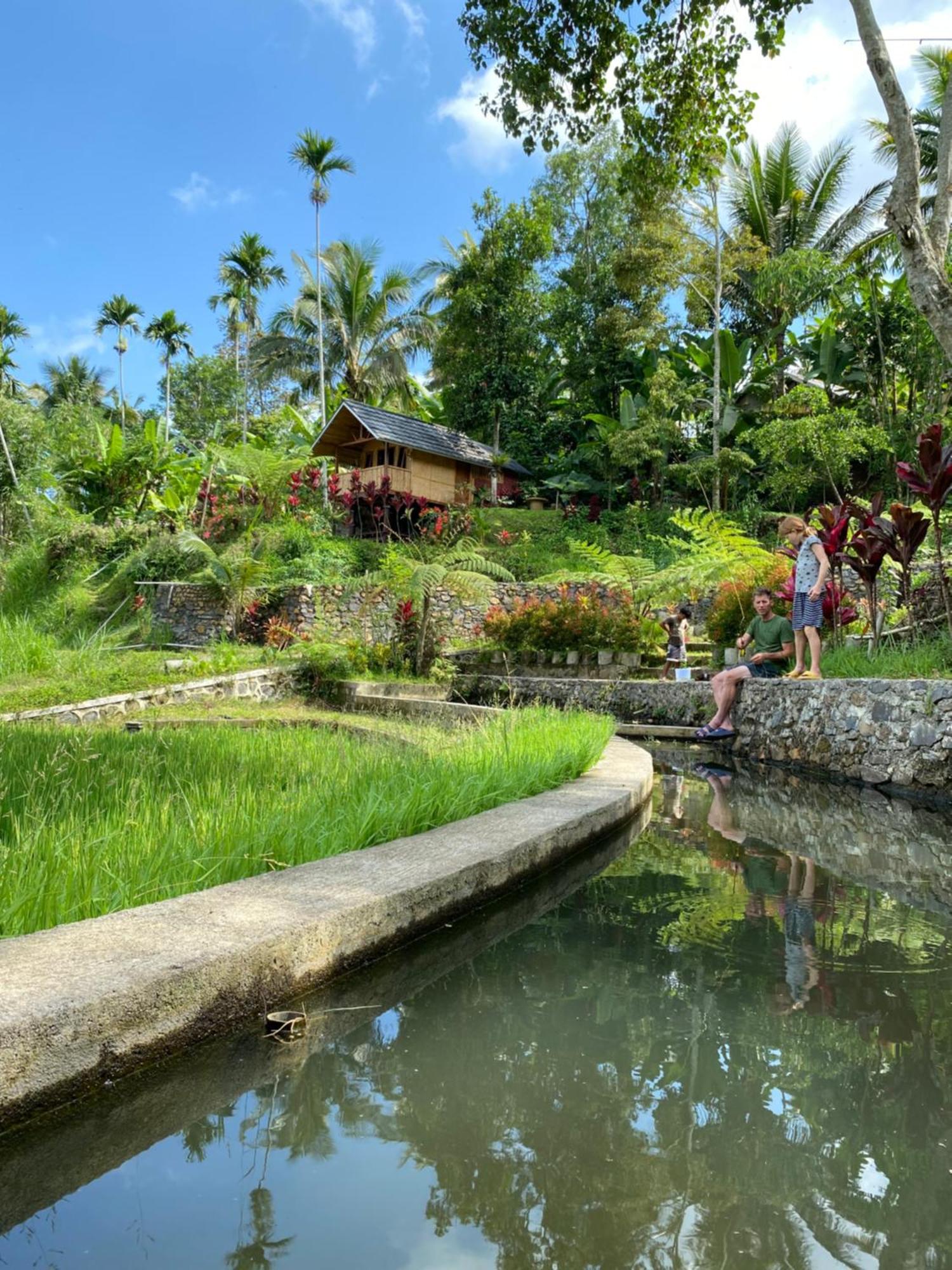The Alam Tetebatu Bungalow & Restaurant Exterior photo